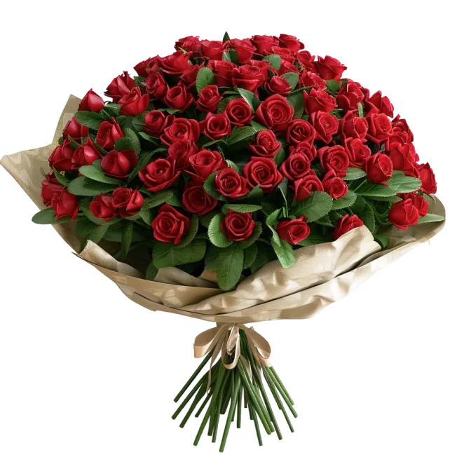 A bouquet of 100 roses